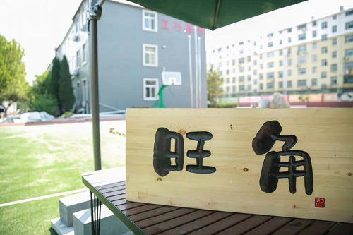 東營(yíng)藝術(shù)生文化課輔導(dǎo) 理性選擇與科學(xué)備考——以濟(jì)南立行學(xué)?？萍贾笇?dǎo)為例